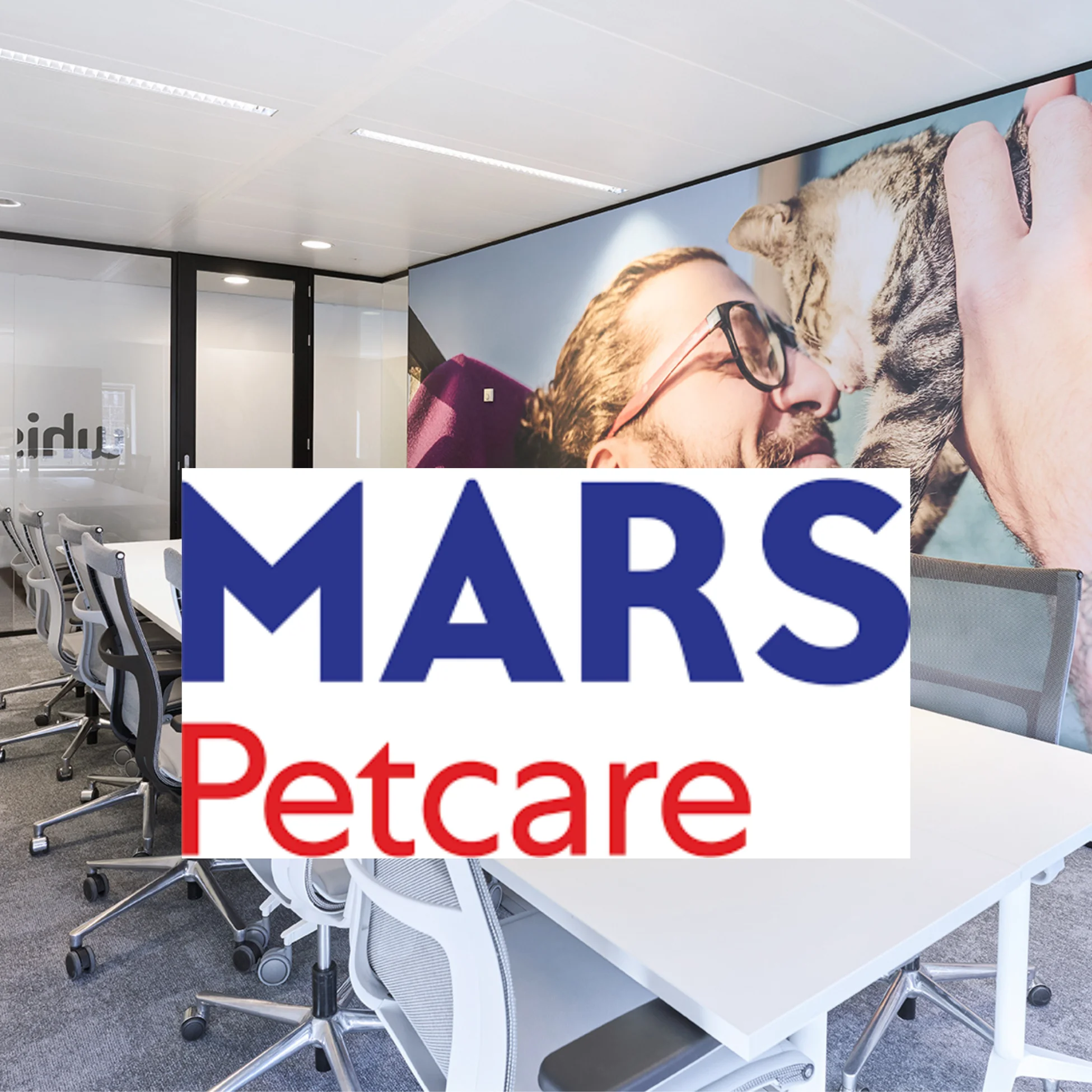 Mars Petcare client story