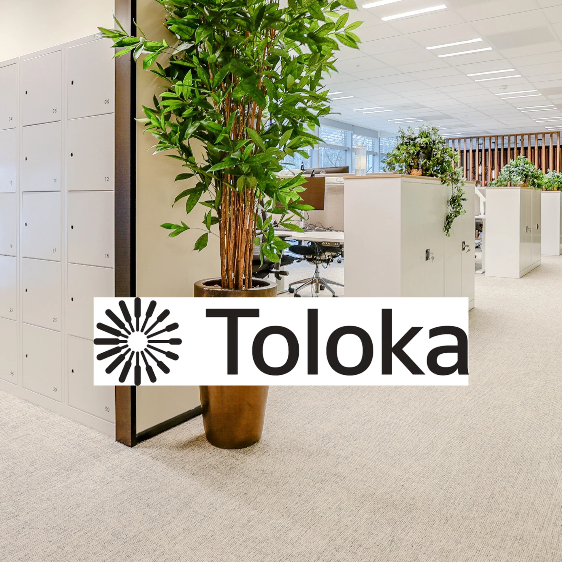 Toloka client story